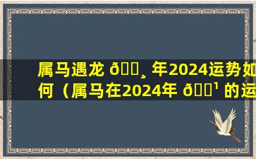 属马遇龙 🕸 年2024运势如何（属马在2024年 🌹 的运势好不好呢）